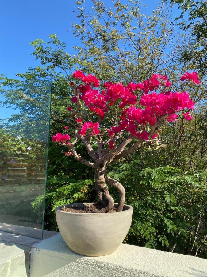 Origo Hotel Boutique Santa Marta  Luaran gambar